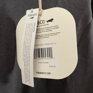 Toad & Co Mock Neck Dress Size Small / S (NWT)